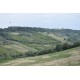 Properties for Sale_FARMHOUSE TO BE RENOVATED WITH LAND FOR SALE IN LAPEDONA, SURROUNDED BY SWEET HILLS IN THE MARCHE province in the province of Fermo in the Marche region in Italy in Le Marche_21